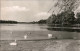 Ansichtskarte Grevesmühlen Vielbeckersee Mit Schwänen 1965 - Grevesmuehlen