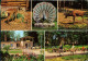 Ueckermünde Tierpark Ueckermünde Ansichtskarte G1980 - Ückermünde