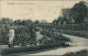 Ansichtskarte Chemnitz Rosarium Im Stadtpark 1918 - Chemnitz