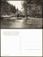 Ansichtskarte  Südharz Der Rhumesprung, Die Größte Quelle Europas 1957 - Ohne Zuordnung