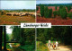 _Niedersachsen Allgemein Felder, Wiesen, Schafe, Landschaft, Brücke, Pferde 2000 - Lüneburger Heide