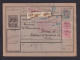1919 - 10 C. Paketkarte "VENZIA GIULA" Ab Triest 7 Nach Zürich - Venezia Giulia