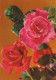 FIORI Vintage Cartolina CPSM #PAR910.A - Flowers