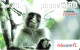 Liechtenstein: TelecomFL - Monkey 11/04 - Liechtenstein