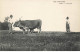 AGRICULTURE AG#MK755 NOS CAMPAGNES LE HERSAGE ATELLAGE BOEUFS - Wagengespanne