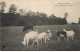 METIERS AL#AL00463 LIMOGES PASTORALE DU CENTRE BERGERE GARDEUSE DE CHEVRES - Landbouwers