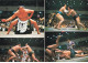 LUTTE AL#AL00538 SUMO LUCHA JAPONESA LLAMADA SUMO - Wrestling
