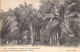 Mauritius - PAMPLEMOUSSES GARDEN - The Palm Tree Avenue - Publ. C. Guillemin & Cie 35 - Mauricio