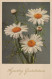 FIORI Vintage Cartolina CPA #PKE518.IT - Flowers