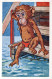 SCIMMIA Animale Vintage Cartolina CPA #PKE765.IT - Monkeys