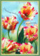 FLORES Vintage Tarjeta Postal CPSM #PBZ341.ES - Fleurs