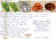 ÁNGEL Navidad Vintage Tarjeta Postal CPSM #PBP631.ES - Anges