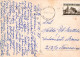FLORES Vintage Tarjeta Postal CPSM #PAR212.ES - Flowers