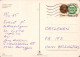 FLEURS Vintage Carte Postale CPSM #PAR514.FR - Fleurs