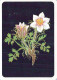 FLEURS Vintage Carte Postale CPSM #PAR514.FR - Fleurs