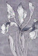 FLOWERS Vintage Ansichtskarte Postkarte CPSM #PBZ703.DE - Fleurs