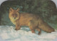 FUCHS Tier Vintage Ansichtskarte Postkarte CPSM #PBS818.DE - Sonstige & Ohne Zuordnung