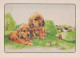 HUND Tier Vintage Ansichtskarte Postkarte CPSM #PAN509.DE - Dogs