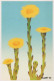 FLOWERS Vintage Postcard CPSM #PBZ700.GB - Fleurs