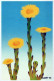 FLOWERS Vintage Postcard CPSM #PBZ700.GB - Fleurs