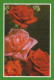 FLOWERS Vintage Postcard CPSM #PBZ100.GB - Blumen