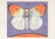 BUTTERFLIES Animals Vintage Postcard CPSM #PBS428.GB - Papillons