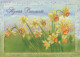 FLOWERS Vintage Postcard CPSM #PAR030.GB - Blumen