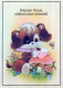 DOG Animals Vintage Postcard CPSM #PAN570.GB - Chiens