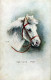 DONKEY Animals Vintage Antique Old CPA Postcard #PAA261.GB - Donkeys