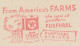 Meter Cut USA 1937 Texaco - Purifier Furfural - Autres & Non Classés