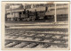 FOTOGRAFIA - STAZIONE - FERROVIA - TRENI - Formato Cm. 12,5 X 9 Circa - Vedi Retro - Treinen