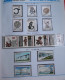 China 2000 Dragon Complete Year Stamp Collection,including All Full Set Stamps & S/S - Nuovi