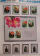 Delcampe - China 2000 Dragon Complete Year Stamp Collection,including All Full Set Stamps & S/S - Ongebruikt