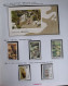 China 2001 Snake Complete Year Stamp Collection,including All Full Set Stamps & S/S - Ongebruikt