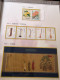 China 2002 Horse Complete Year Stamp Collection,including All Full Set Stamps & S/S - Unused Stamps