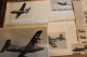 Lot De 55g D'anciennes Coupures De Presse Et Photos De L'aéronef Américain Douglas F-3D "Skynight" - Aviación