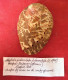 Haliotis Tuberculata Tuberculata ( Linnè, 1758)- Paimpol, Bretagne ( France). 83x 57,9mm. Collected Alive - Seashells & Snail-shells