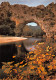 VALLON PONT D'ARC  Le Pont D'Arc   37  (scan Recto Verso)MH2921 - Vallon Pont D'Arc