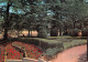 DRAGUIGNAN  Le Jardin De La Gare    18  (scan Recto Verso)MH2988 - Draguignan