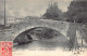 DELÉMONT (JU) Le Pont De La Maltière - Ed. Inconnu  - Delémont