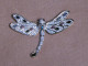 Delcampe - Bijoux-broche_34_Libellule-Dragonfly-Libelle _ Swarovsky - Brooches