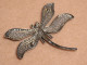 Bijoux-broche_37_Libellule-Dragonfly-Libelle - Marcassite - Broschen