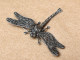 Bijoux-broche_43_Libellule-Dragonfly-Libelle -  Marcassite Et Argent - Broschen