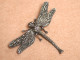 Bijoux-broche_43_Libellule-Dragonfly-Libelle -  Marcassite Et Argent - Brochen