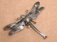 Bijoux-broche_43_Libellule-Dragonfly-Libelle -  Marcassite Et Argent - Brooches