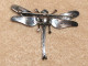 Delcampe - Bijoux-broche_43_Libellule-Dragonfly-Libelle -  Marcassite Et Argent - Spille