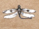 Bijoux-broche_46_Libellule-Dragonfly-Libelle &ndash; Argent 925 - Brochen