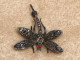 Delcampe - Bijoux-broche_47_Libellule-Dragonfly-Libelle &ndash; Marcassite Et Argent - Brochen