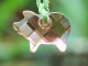 Bijoux-pendentif-20-SWAROVSKI En Forme De Cochon Rose - Pendants