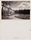 Antonshöhe-Breitenbrunn (Erzgebirge) Kneipp-Sanatorium, Parkbänke 1955 - Breitenbrunn